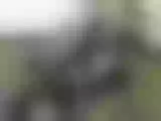 Live sex webcam photo for Nika3Cams #146326603