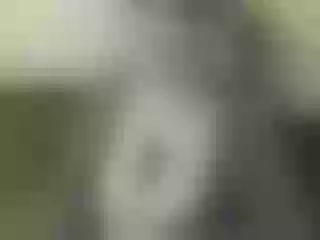 Live sex webcam photo for Nika3Cams #146654535