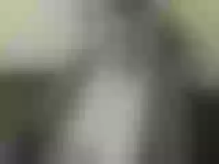 Live sex webcam photo for Nika3Cams #146659429