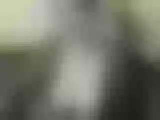Live sex webcam photo for Nika3Cams #146722748