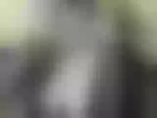 Live sex webcam photo for Nika3Cams #146939052