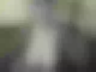 Live sex webcam photo for Nika3Cams #146947763