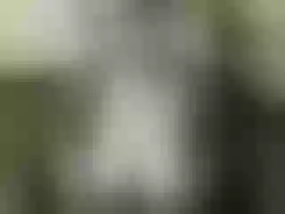 Live sex webcam photo for Nika3Cams #146975793