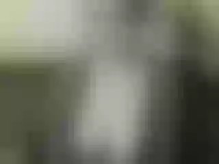 Live sex webcam photo for Nika3Cams #147219414