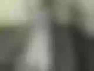 Live sex webcam photo for Nika3Cams #147998002