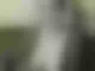 Live sex webcam photo for Nika3Cams #150426300