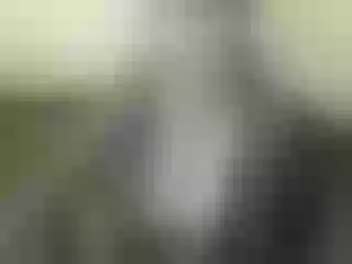Live sex webcam photo for Nika3Cams #151953975