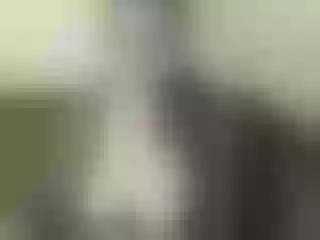 Live sex webcam photo for Nika3Cams #153176857