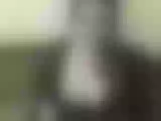 Live sex webcam photo for Nika3Cams #154152462