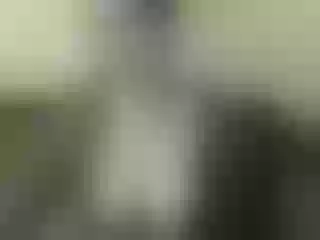 Live sex webcam photo for Nika3Cams #154531571