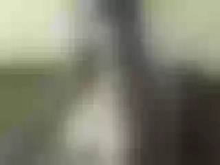 Live sex webcam photo for Nika3Cams #155487885