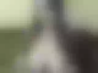 Live sex webcam photo for Nika3Cams #155495575
