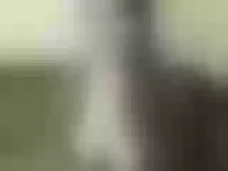 Live sex webcam photo for Nika3Cams #156484032