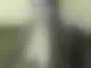 Live sex webcam photo for Nika3Cams #156499125