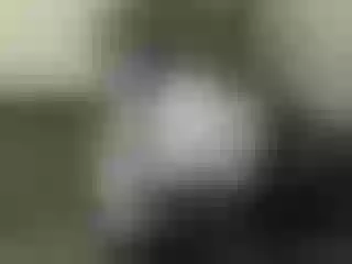 Live sex webcam photo for Nika3Cams #157184314