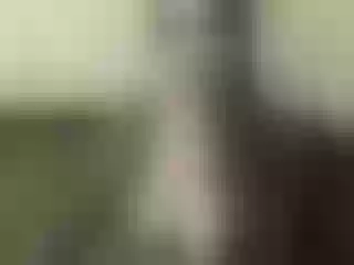 Live sex webcam photo for Nika3Cams #157739580