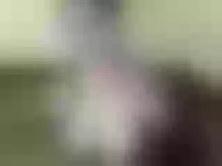 Live sex webcam photo for Nika3Cams #158492652