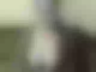 Live sex webcam photo for Nika3Cams #163213414