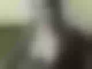 Live sex webcam photo for Nika3Cams #164486318
