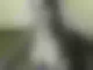 Live sex webcam photo for Nika3Cams #164819526