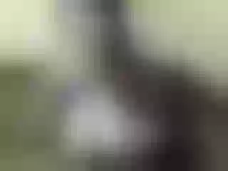 Live sex webcam photo for Nika3Cams #165685417