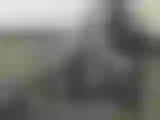 Live sex webcam photo for Nika3Cams #176438485