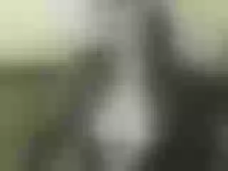 Live sex webcam photo for Nika3Cams #178054727