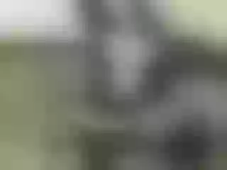 Live sex webcam photo for Nika3Cams #181312797
