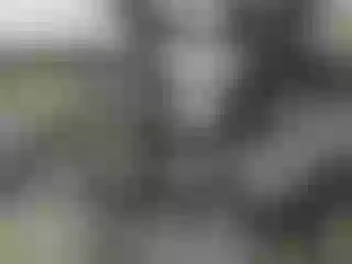 Live sex webcam photo for Nika3Cams #181314249