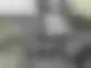 Live sex webcam photo for Nika3Cams #182780252