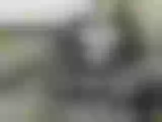 Live sex webcam photo for Nika3Cams #182794390