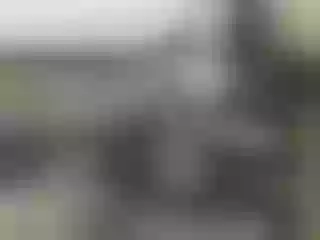 Live sex webcam photo for Nika3Cams #182839823