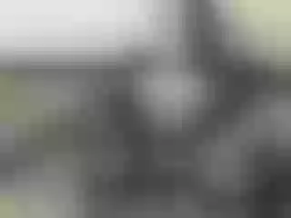 Live sex webcam photo for Nika3Cams #182849494