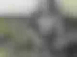 Live sex webcam photo for Nika3Cams #182855259