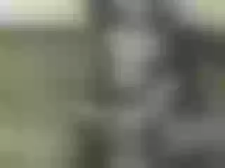 Live sex webcam photo for Nika3Cams #186668130