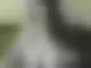 Live sex webcam photo for Nika3Cams #192088451