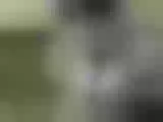 Live sex webcam photo for Nika3Cams #196834649