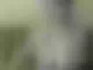 Live sex webcam photo for Nika3Cams #199832533
