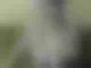 Live sex webcam photo for Nika3Cams #199844410