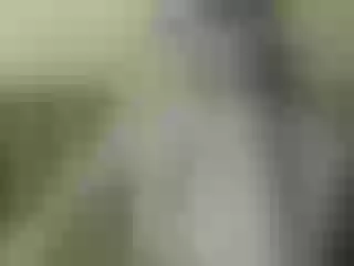 Live sex webcam photo for Nika3Cams #200100760