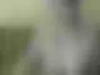 Live sex webcam photo for Nika3Cams #200312300