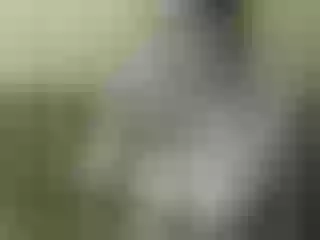Live sex webcam photo for Nika3Cams #200317452