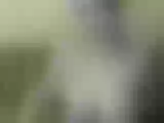 Live sex webcam photo for Nika3Cams #200319408