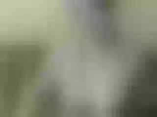 Live sex webcam photo for Nika3Cams #200339710