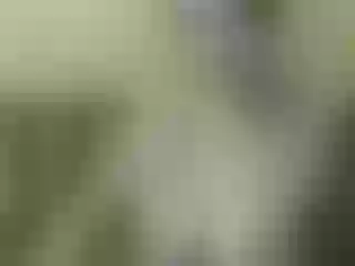 Live sex webcam photo for Nika3Cams #200349888
