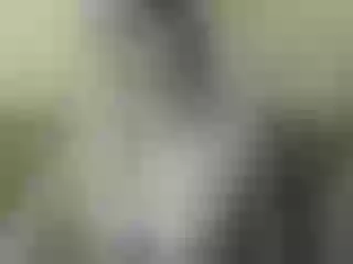Live sex webcam photo for Nika3Cams #201248715
