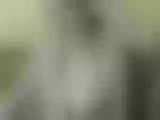 Live sex webcam photo for Nika3Cams #201387671