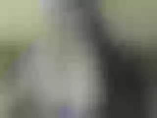 Live sex webcam photo for Nika3Cams #202307993