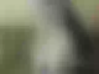 Live sex webcam photo for Nika3Cams #202804299