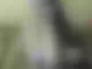 Live sex webcam photo for Nika3Cams #202818488